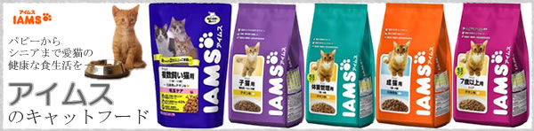 アイムス IAMS キャットフード
