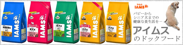 アイムス IAMS ドックフード
